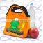Cartoon kids insulated lunch tote bag