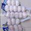 20156 new crop fresh garlic