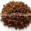 BEST SUPPLIER SULTANA RAISIN FROM INDIA
