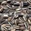 Chinese Good Quality Sunflower Seeds 5009 Sunflower Seeds