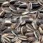 factory supply bulk organic 5009 sunflower seeds