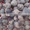 IQF frozen summer truffle hot sale
