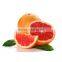 Grape fruit oil