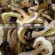 Delicious dried yellow boletus price