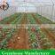Simple Polytunnel Greenhouse