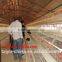 TAIYU Battery Cages Laying Hens