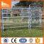 Factory wholesale galvanized sheep corral panels