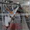 Goat Farm Equipment Milking Parlour For Sheep , Dairy Goat Milking Equipment