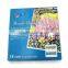 free sample 18 color 12ml acrylic paint set