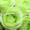 Top quality fresh cut pink/red/blue/green rose with highly competitive price