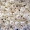 good wear resistance POM plastic machining gears