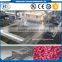 TPR/TPE/TPU High Quality Co-Rotating Twin Screw Extrusion Machine Production Line