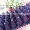 Custom Strong Quality Black Shining PS Plastic Flower Seed Starting Trays 98 Cell 530*280*55mm