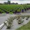 ecological can be cut the weed mat for agricultural ground cover