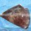natural good quality and best price frozen giant Peru squid wing