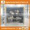 HERACLES broiler chicks rate/ automatic broiler feeding system /broiler chicken farming