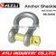 ATLI SKC-S6-G209BW Factory Price Screw Pin Anchor Shackle/bow Shackle