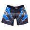 Custom MMA SHORT -custom mma short-sublimated mma shorts-mma wears-custom design mma wears-custom design mma short-custom sublim