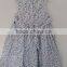 Baby Girls Blue and White Porcelain Printed and Emboridered Dress for Summer