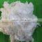 lyocell staple fiber