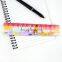 customized logo printed promotion oem plastic ruler