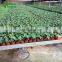 Commercial Greenhouse Tables Plans To Build Benches Greenhouse