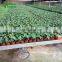 Gardening Potting Shed Benches With Greenhouse Shelves