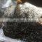 bird trapping net eco-friendly feature bird mist net 2x15m110D/2ply