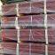 Factory Direct Selling Professional High Quality Cast Iron Pipes