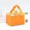 Hot Selling Recycle Soft Cooler Bags Non Woven Custom Logo