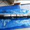 Diesel engine injector  0445120086 0 445 120 086 with DLLA145P1655 F 00R J01 727