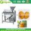 Small mango processing machine