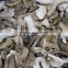 Grade AA Dried boletus edulis slices mushroom