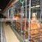 china factory chicken wire mesh / chicken cage prices