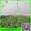 Promotion high quality vegetable blow molding plastic greenhouse film with resistant fog