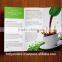 Customized design Promotional 3 Fold Leaflet