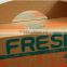 Take away 5-ply fruits corrugated packing carton handle box