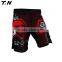Cool High Quality Custom MMA Shorts