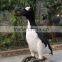 Animatronic Animal Great Auk for Sale