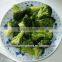 IQF Broccoli