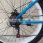 CE approved big power beach cruiser style Fat tire pedelec chopper with en15194/snow pedelec chopper/mountain e bike
