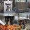 Batch/Continous Type Peanut roaster/Nuts roaster/peanut roaster process line