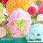 Party decoration& pom poms & peony flower ball