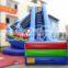 Party Events Inflatable Double Lane Curve Slip Slide in promotion
