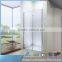 One glass pivot system shower screen door 8mm glass