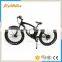 500w Sand snow sat tire electric bike