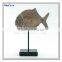 Decorative Resin Craft Fish Fossil With Metal Stand Animal Fossil