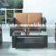 Rattan Modern Furniture Design with Cheap Price