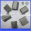 tungsten carbide tip for shield cutter