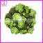 artificial echeveria succulent pot